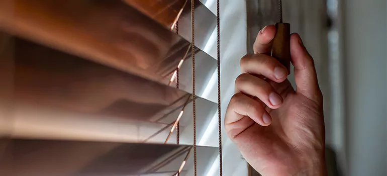 Double Roller Blinds in Jacksonville Beach, FL