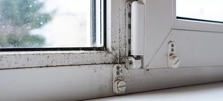 Jacksonville Beach, FL