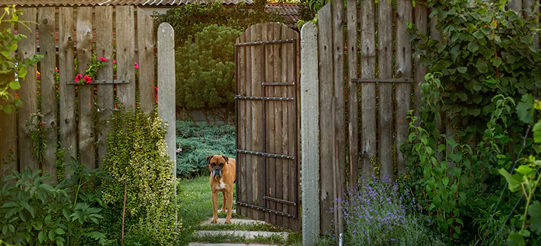 Winter Garden Garage Door Repair in Jacksonville Beach,[location field=state]