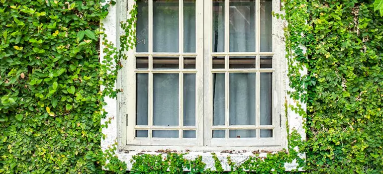 Garden Window Repair Near Me in Jacksonville Beach, FL
