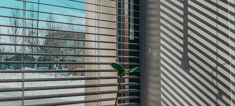 Commercial Window Blinds in Jacksonville Beach, FL
