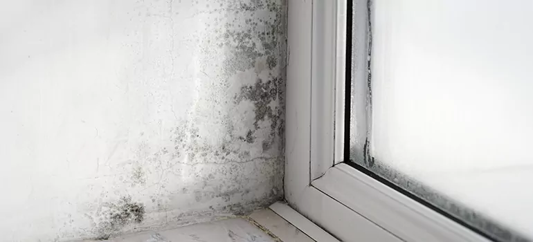 Jacksonville Beach, FL