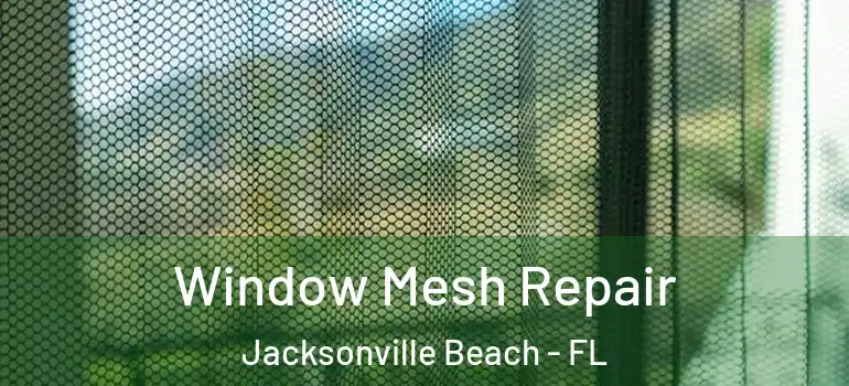 Window Mesh Repair Jacksonville Beach - FL