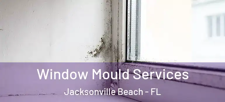 Window Mould Services Jacksonville Beach - FL